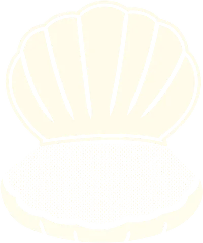 Open Shell